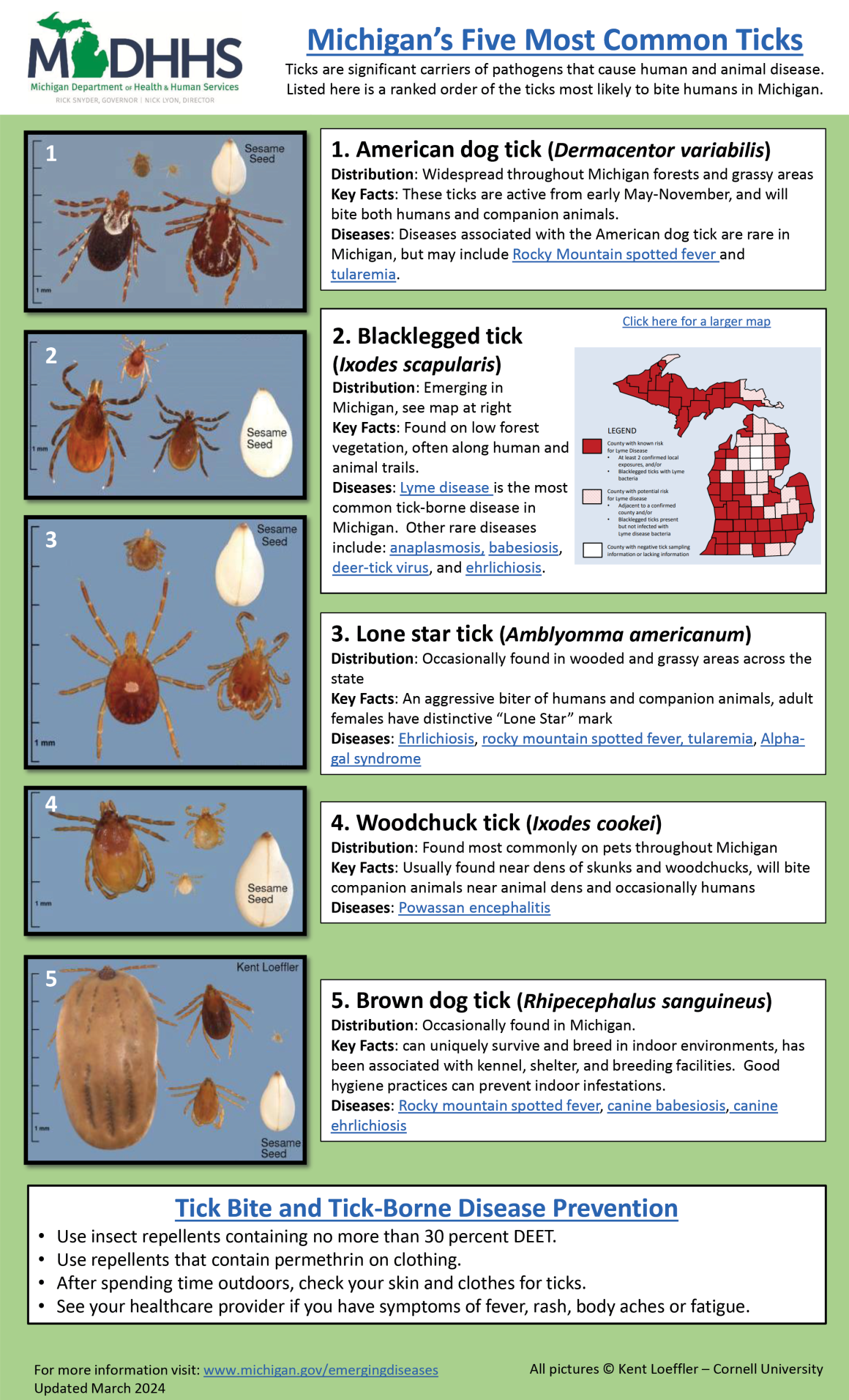 5 Most Common Ticks